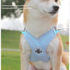 Atmungsaktives reflektierendes Hundegeschirr & Leinen-Set