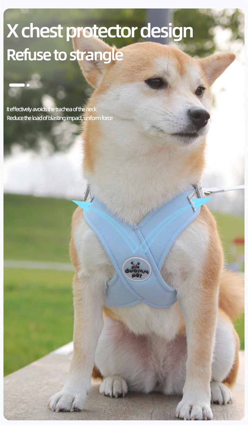 Atmungsaktives reflektierendes Hundegeschirr & Leinen-Set