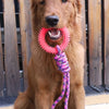 Supet Interactive Training Ring Toy for Dogs