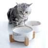 A tabby cat looking down at a white ceramic double pet bowl set with a wooden stand.