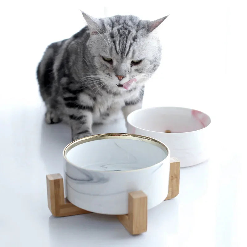 A tabby cat looking down at a white ceramic double pet bowl set with a wooden stand.