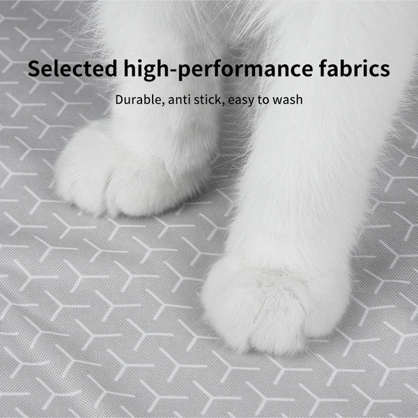 Close-up of a white cat's paw resting on a gray fabric surface.