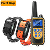 Rechargeable Dog Training Collar with Remote Control