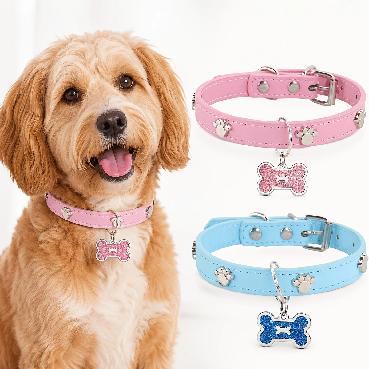 A golden retriever wearing a pink collar with a bone-shaped paw print tag.