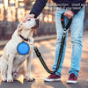Adjustable Dog Car Seat Belt with Elastic Bungee and Reflective Stitching