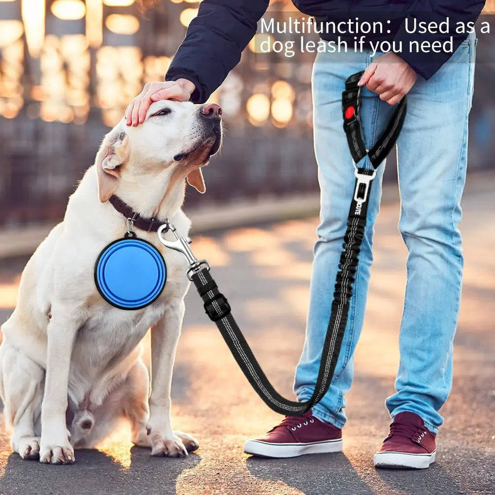 Adjustable Dog Car Seat Belt with Elastic Bungee and Reflective Stitching