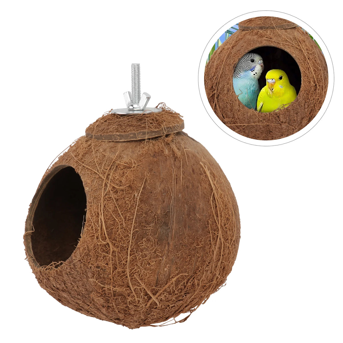 A brown natural coconut shell bird nest toy with a hole, featuring two small birds inside.