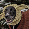Ein schwarzer Hund trägt eine beige Strickohrenmütze in einer Outdoor-Winterumgebung.