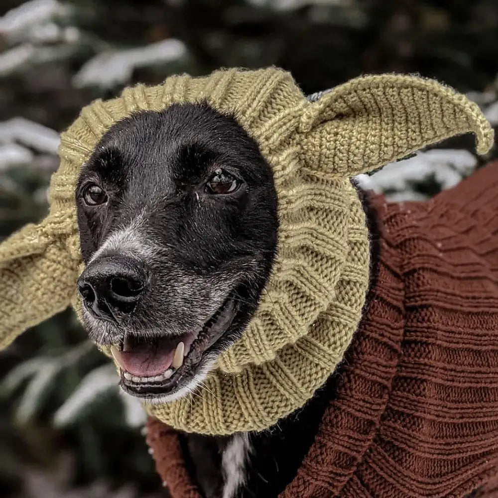 Ein schwarzer Hund trägt eine beige Strickohrenmütze in einer Outdoor-Winterumgebung.
