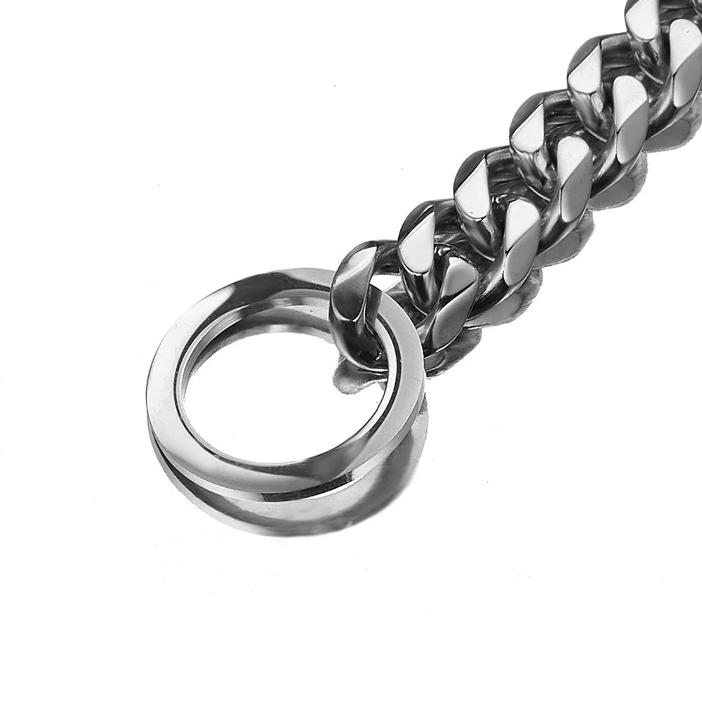 Polished Stainless Steel Slip Chain Dog Collar for Training and Walking