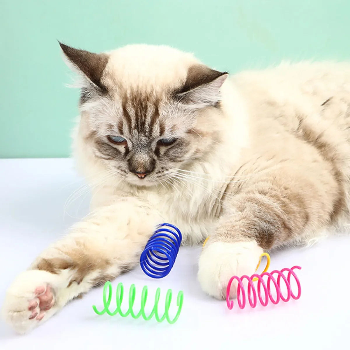 A fluffy tabby kitten is lying down next to colorful spring toys for interactive play.
