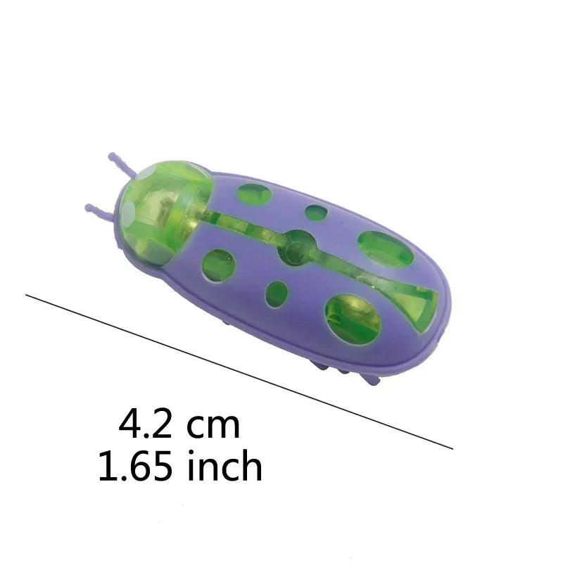 Electric Catnip Bug Toy for Cats
