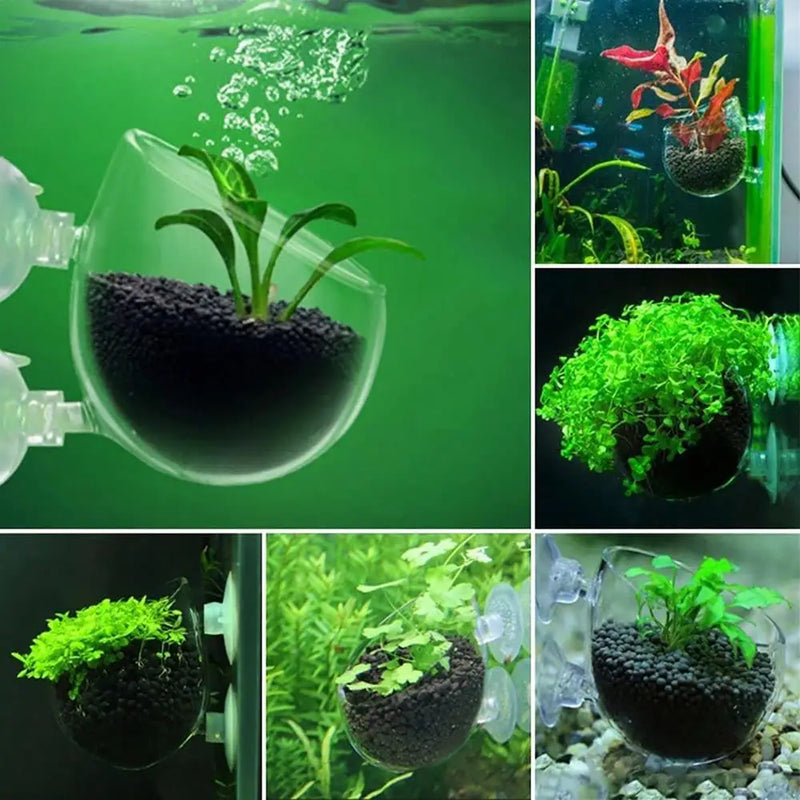 Acrylic Aquarium Plant Cup with Suction Holder