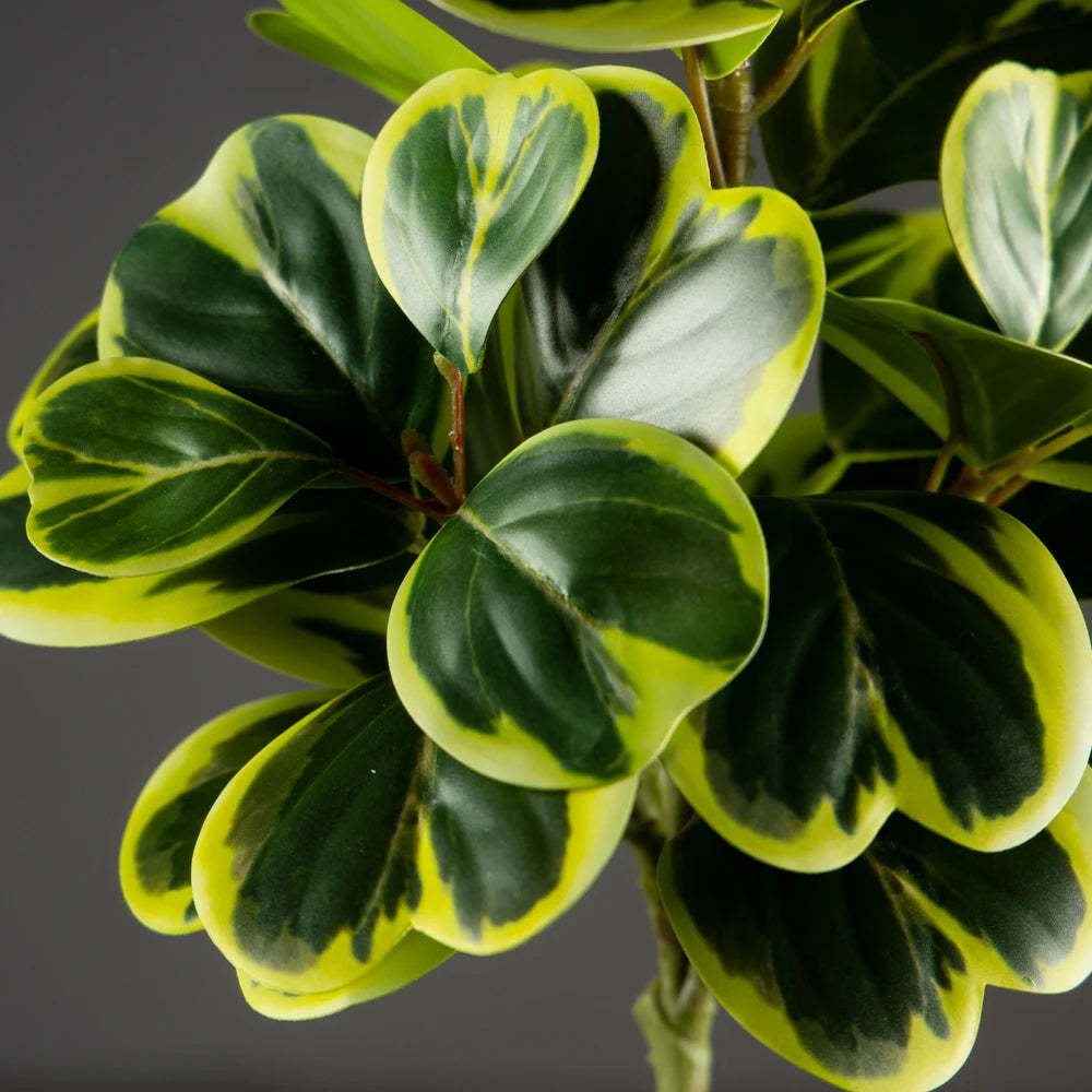 Artificial Heart-Leaf Ficus Plant with Green Leaves