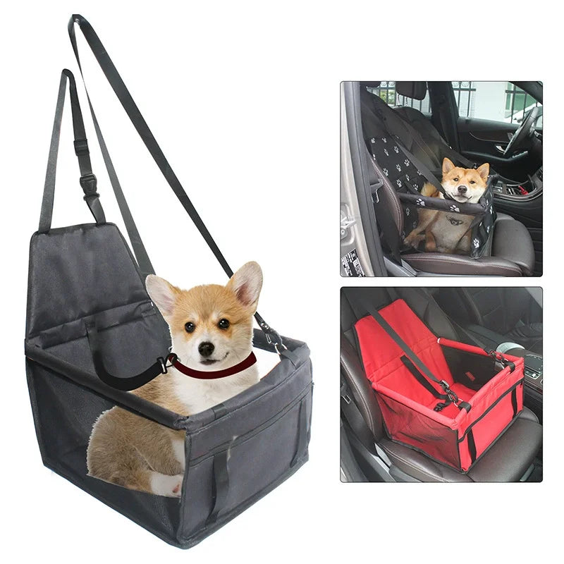 Foldable Car Dog Seat for Small Dogs – Portable Travel Booster with Safety Belt
