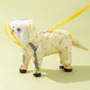 Small Dog Full-Body Raincoat with 4-Leg Coverage