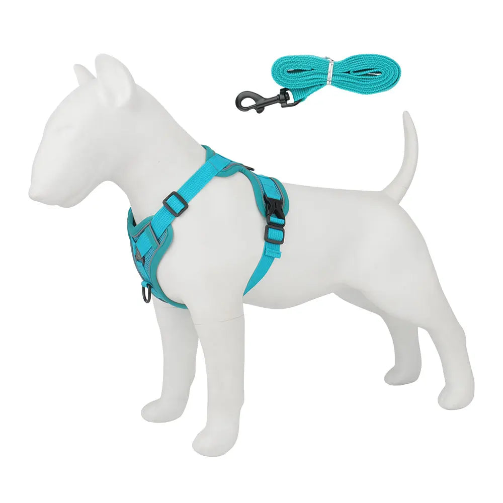 A white dog harness and leash set with teal blue straps and black hardware.
