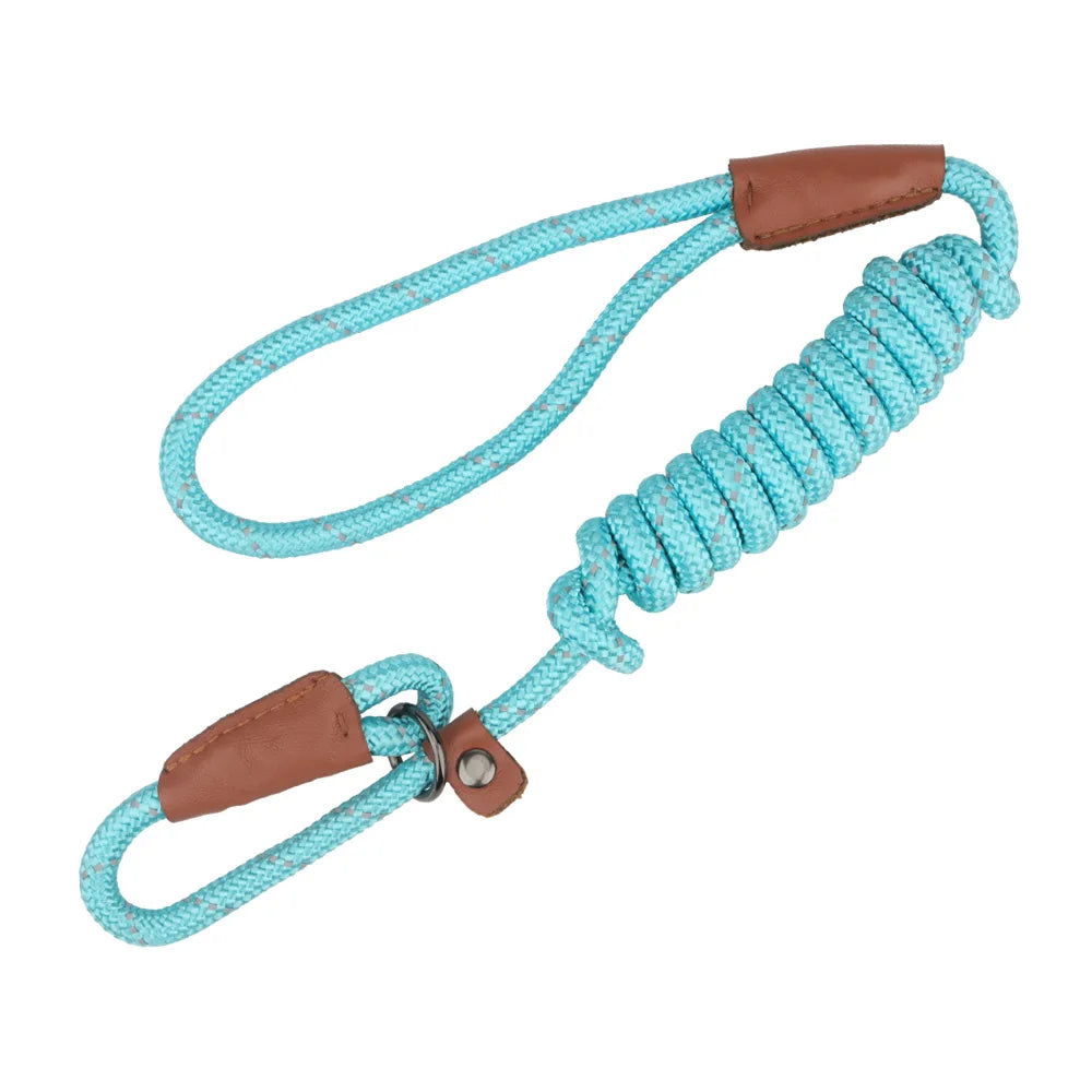 A light blue reflective P-shape dog leash with brown leather accents and a coiled rope section.