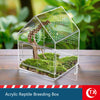 Clear acrylic reptile breeding box with a natural landscape inside