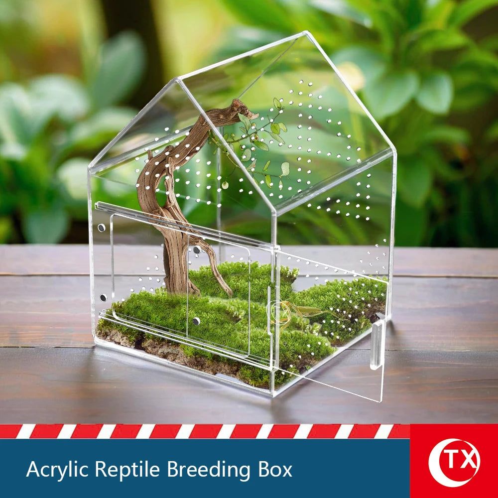 Clear acrylic reptile breeding box with a natural landscape inside