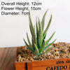 Artificial Succulent Bonsai Plant for Home Decor