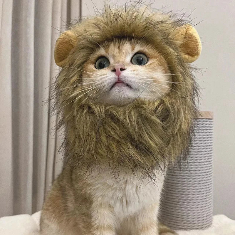 Sombrero de Melena de León para Mascotas