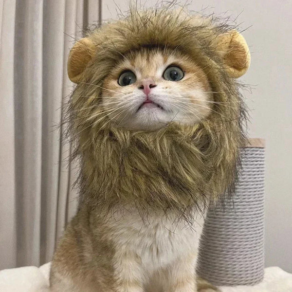 Sombrero de Melena de León para Mascotas