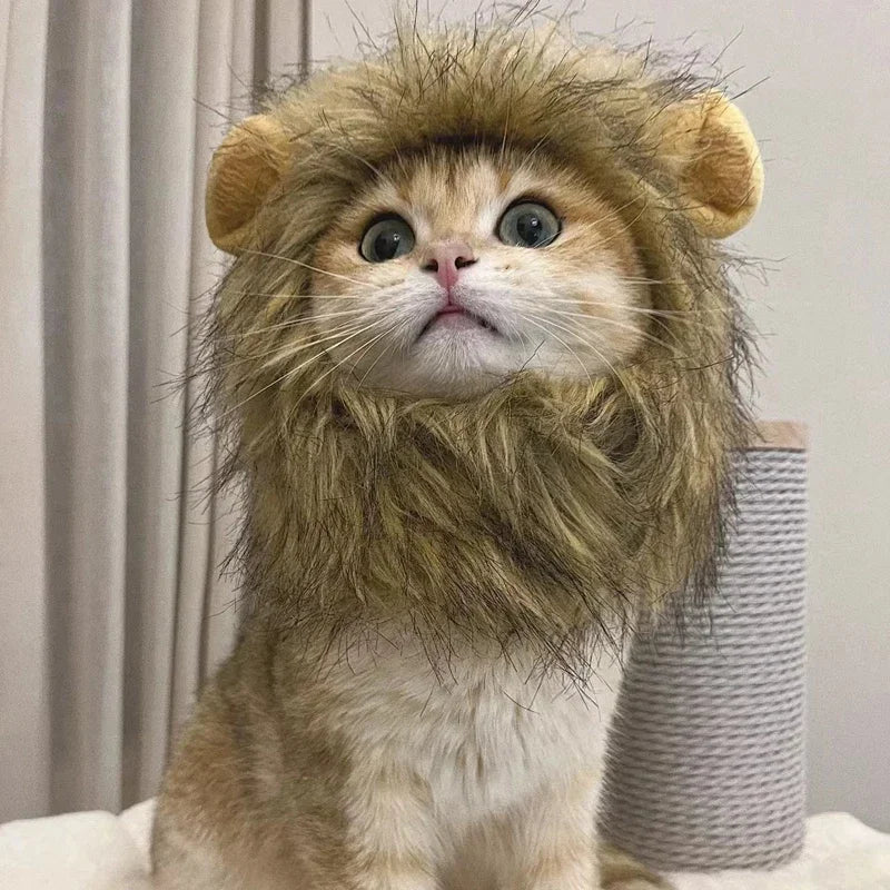 Sombrero de Melena de León para Mascotas