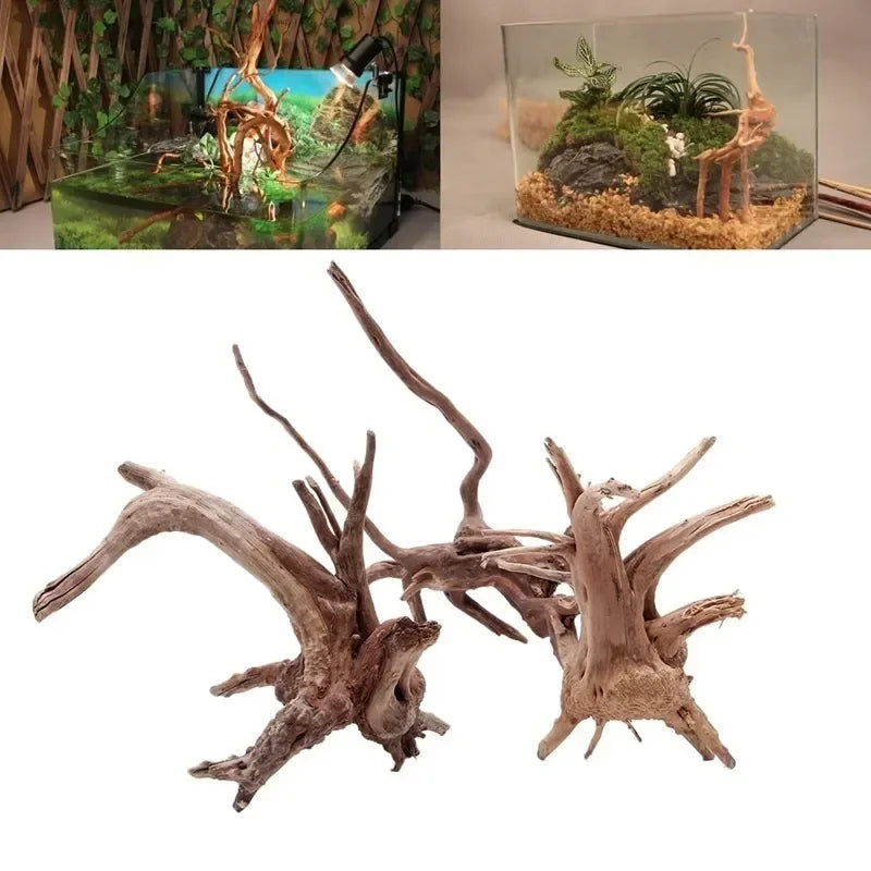 Eine Sammlung trockener, verwitterter Treibholzstücke als natürliche Dekoration für ein Aquarium.