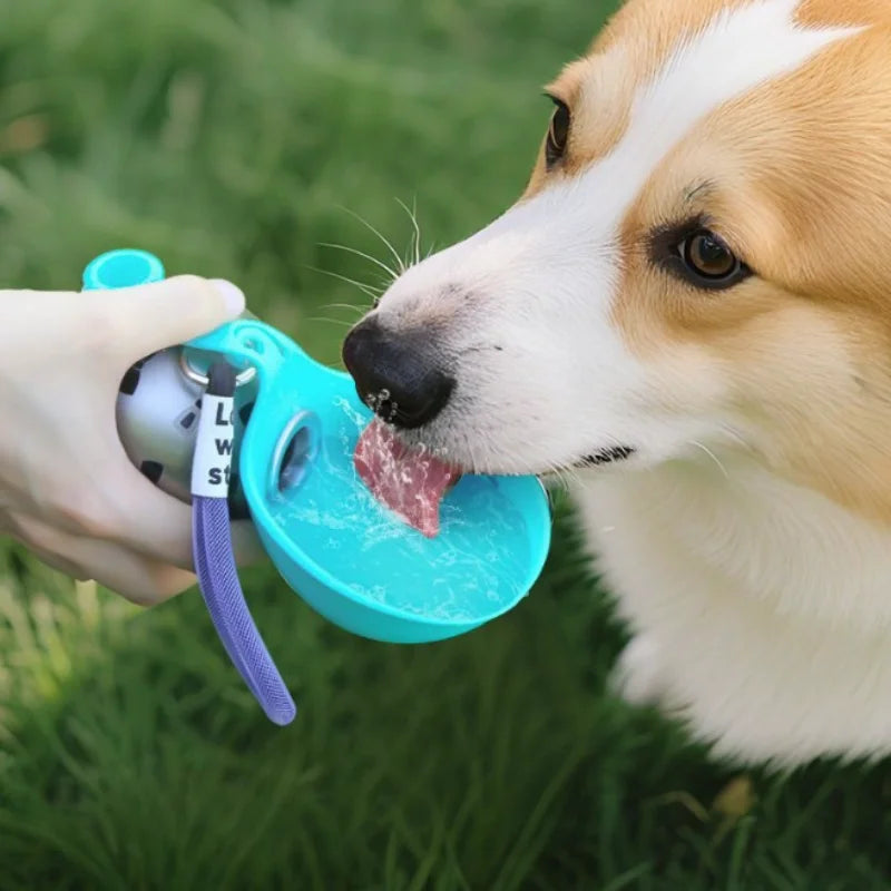 A dog is licking a teal foldable travel pet water bottle with a purple strap in green grass.
