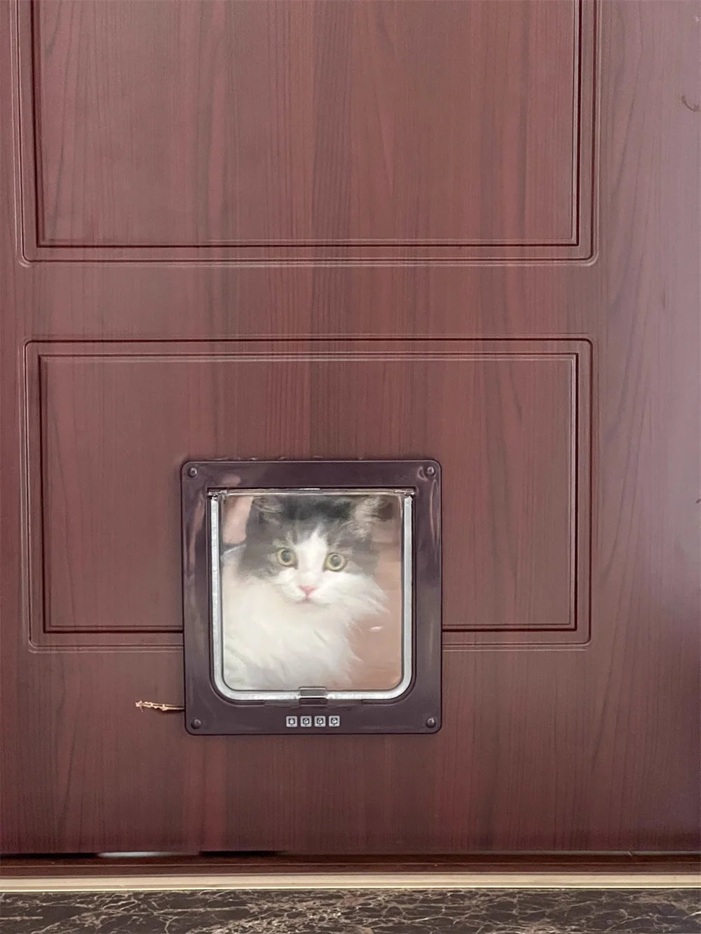 Weatherproof Pet Door Flap with 4-Way Locking Security