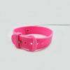 Cat Collar Toy with Feather Bells