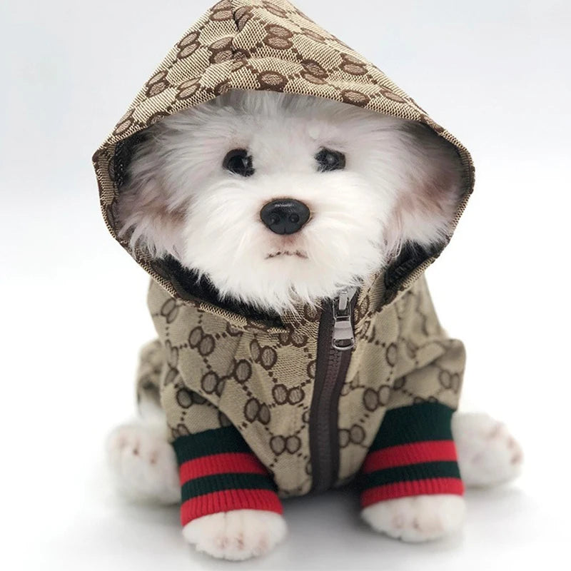 Patterned Dog Coat for Autumn and Winter