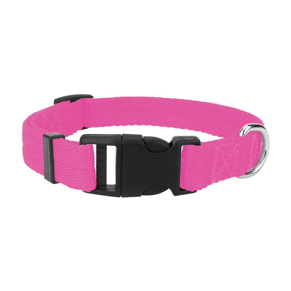 A bright pink nylon dog collar with a black quick-release buckle.