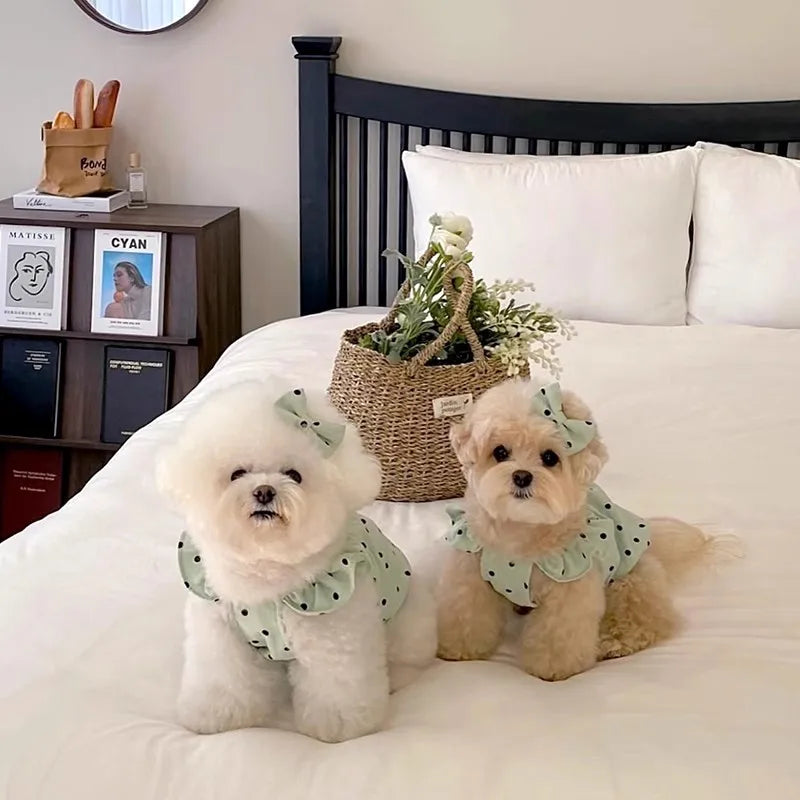Vestido de Verano para Mascotas con Estampado de Puntos en Algodón
