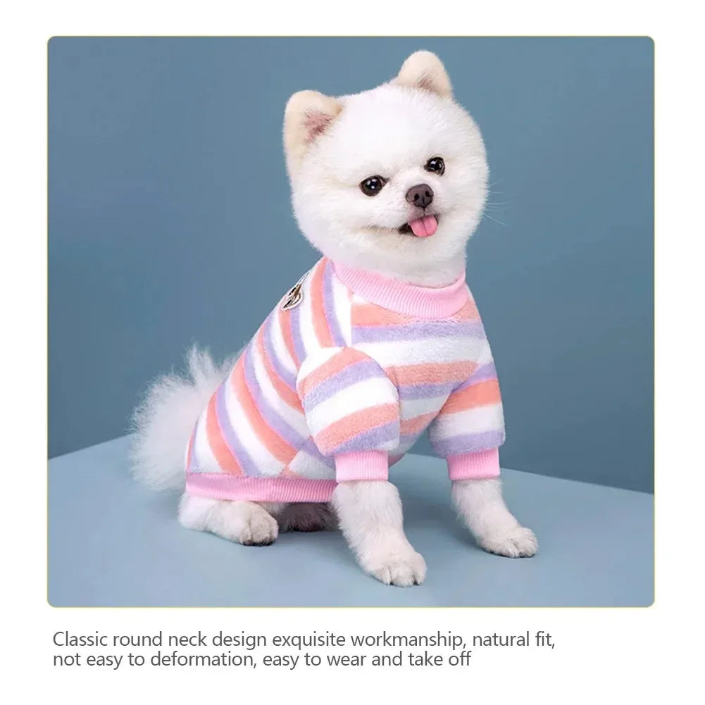 A white Pomeranian dog wearing a pink and white striped cotton flannel sweater.