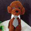 A brown, fluffy dog toy wearing a black and white striped bow tie collar.
