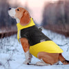 Chaleco impermeable acolchado para perro