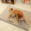 Orthopedic Memory Foam Dog Bed with Removable Washable Faux Fur Cover