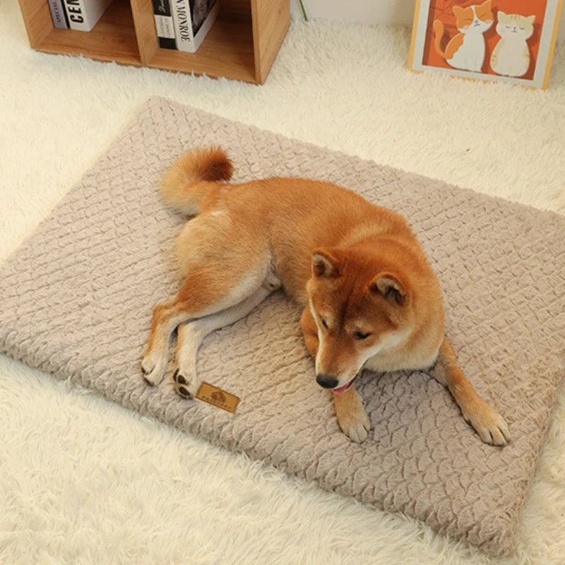 Orthopedic Memory Foam Dog Bed with Removable Washable Faux Fur Cover