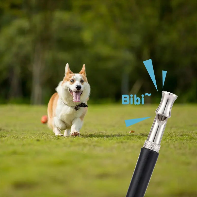 A fluffy white and tan dog is shown next to an adjustable ultrasonic dog whistle for pet training.