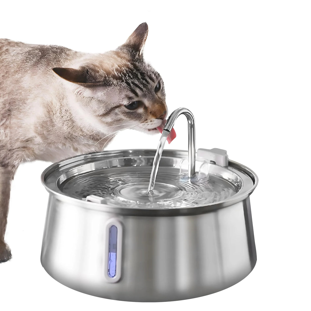 Un gato atigrado bebe agua de un cuenco de fuente automática de agua de acero inoxidable.