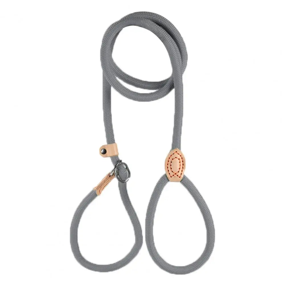 A gray heavy duty slip lead dog leash with an adjustable stopper.