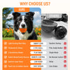 A black and white dog toy featuring a core, shell, and various modes like play and control.