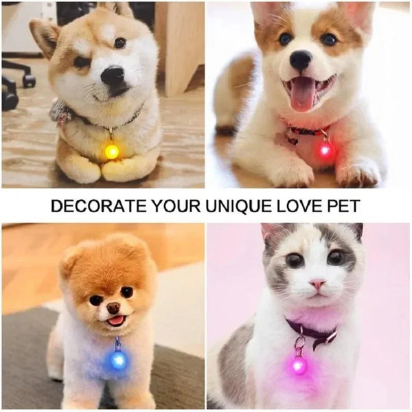 Pendentif de Collier LED pour Chien – Sécurité Nocturne