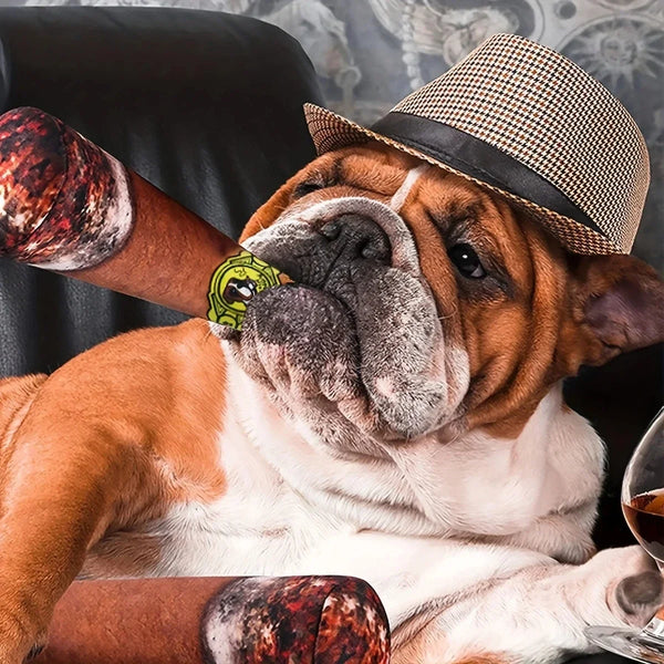 Plush Squeaky Cigar Dog Toy