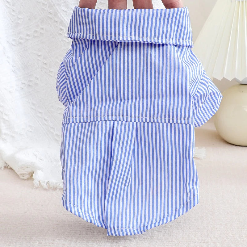 A light blue and white striped bowknot shirt for a small dog is shown folded on a white surface.