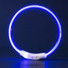 USB-aufladbarer LED-Hundehalsband