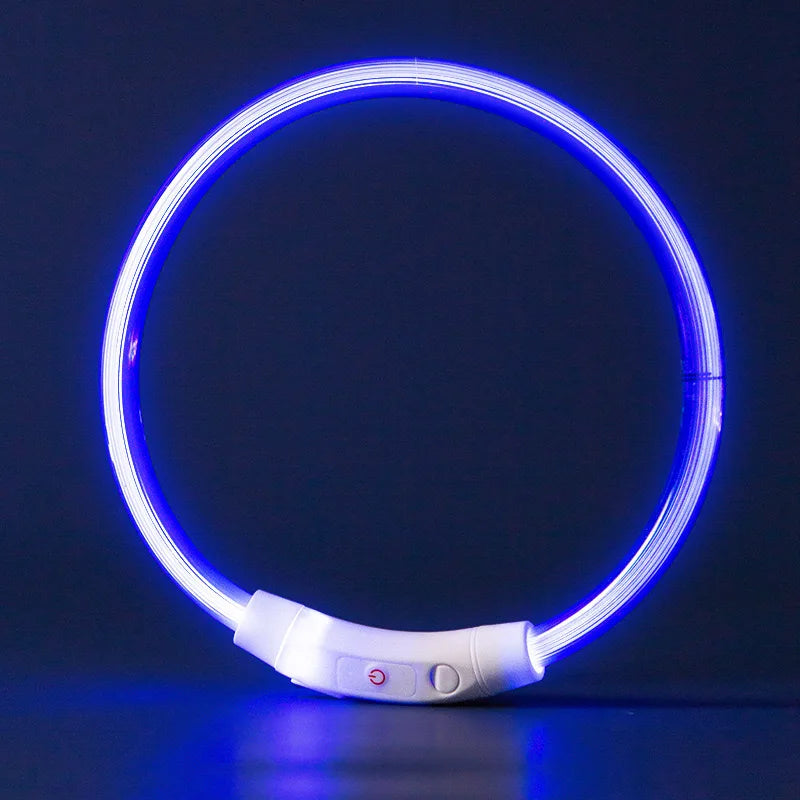 USB-aufladbarer LED-Hundehalsband
