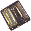 A black case containing professional stainless steel pet grooming scissors and a comb.